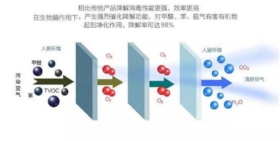 光觸媒、生物酶、空氣凈化器，哪家除甲醛公司效果好？