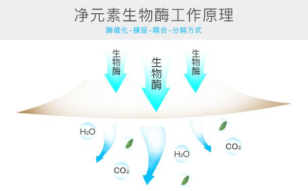 光觸媒、生物酶、空氣凈化器，哪家除甲醛公司效果好？